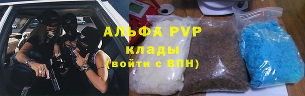 прущий лед Новозыбков