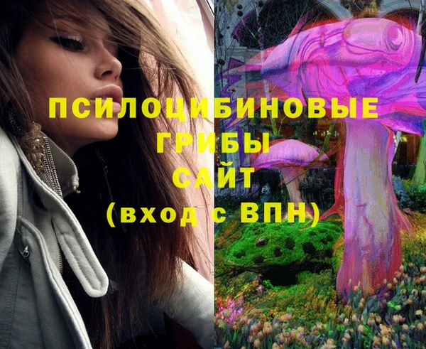 прущий лед Новозыбков