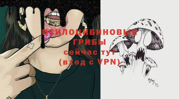 стафф Ельня