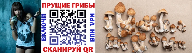 Галлюциногенные грибы ЛСД  Ишимбай 