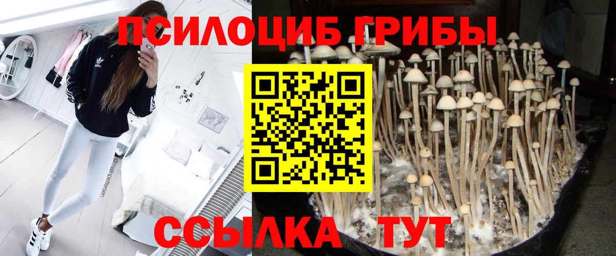 Галлюциногенные грибы Cubensis Ишимбай