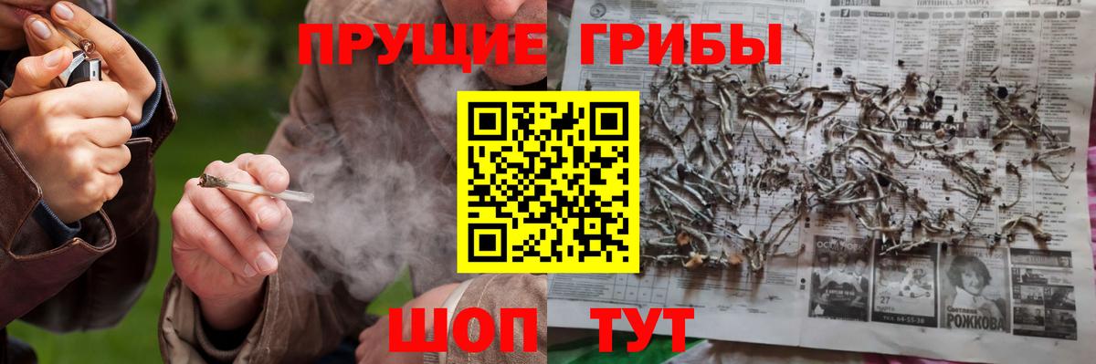 Галлюциногенные грибы Cubensis  Вход с VPN  Ишимбай 